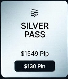 Silver - 3 Months subscription
